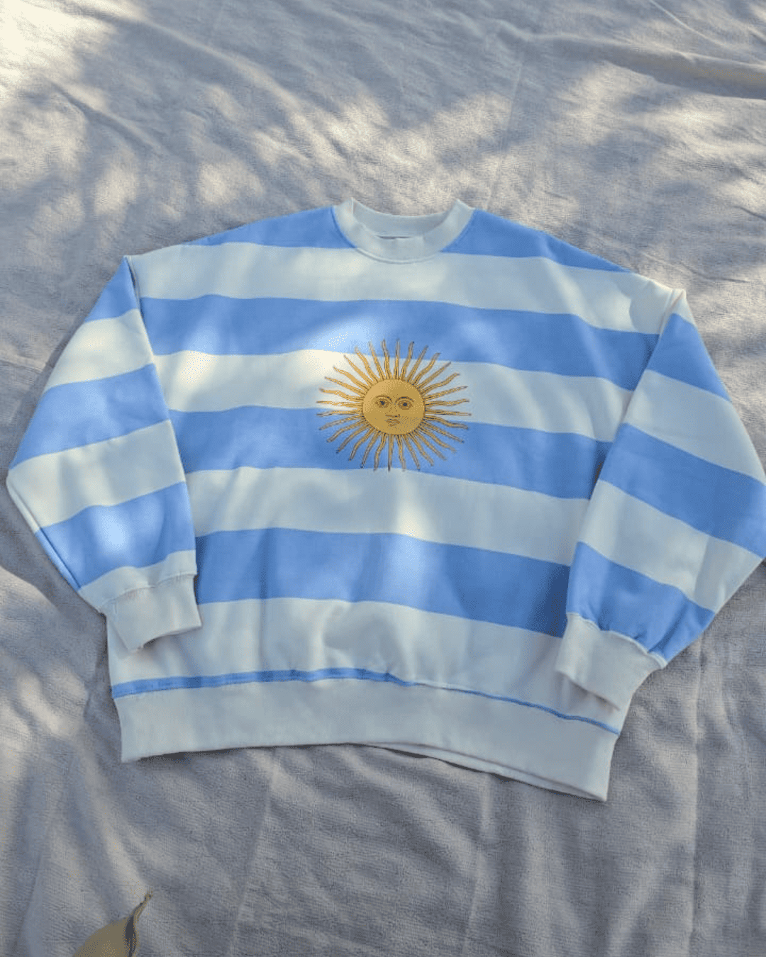 Buzo Argentina "Mi Bandera" - Imagen 2